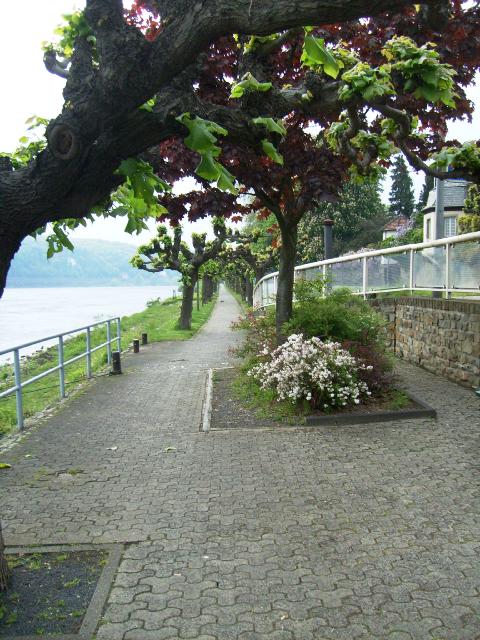 102-2010-4358-S7300423